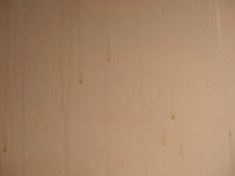 House Painting Problems