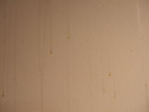 House Painting Problems