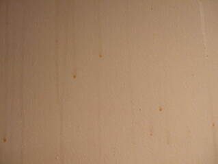 Interior House Painting Problems