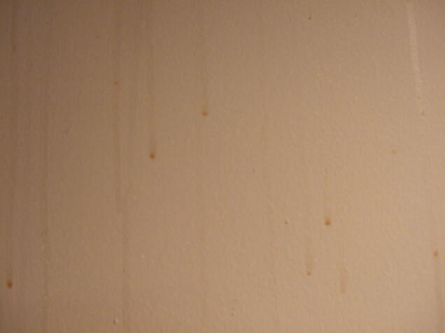 Interior House Painting Problems