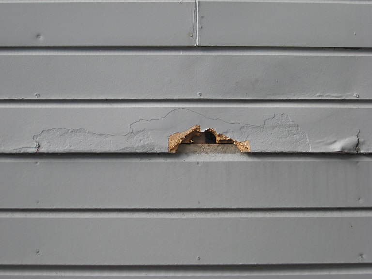 Exterior Rotted Wood Repair Tips For Your Home