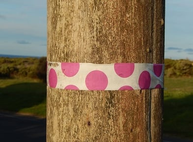 Ribbon on a pole to show painting contractors spot repairs