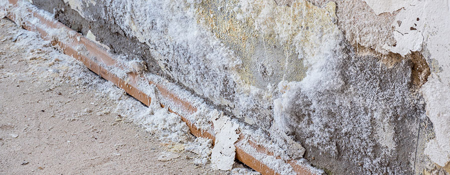 Primer Before Paint: When Is It Necessary & When Is It A Waste?