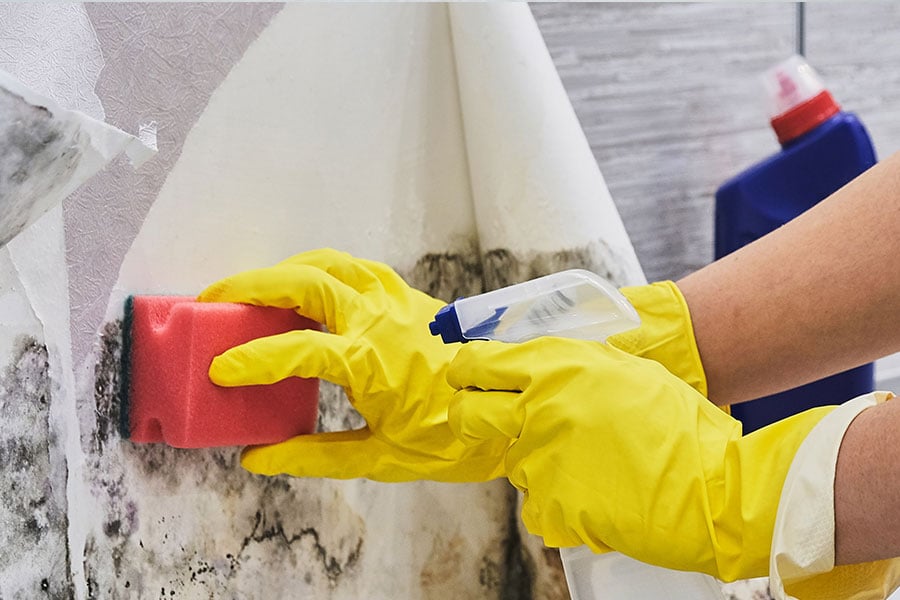 Pre Paint Cleaner Does It Really Matter Which Kind You Use?